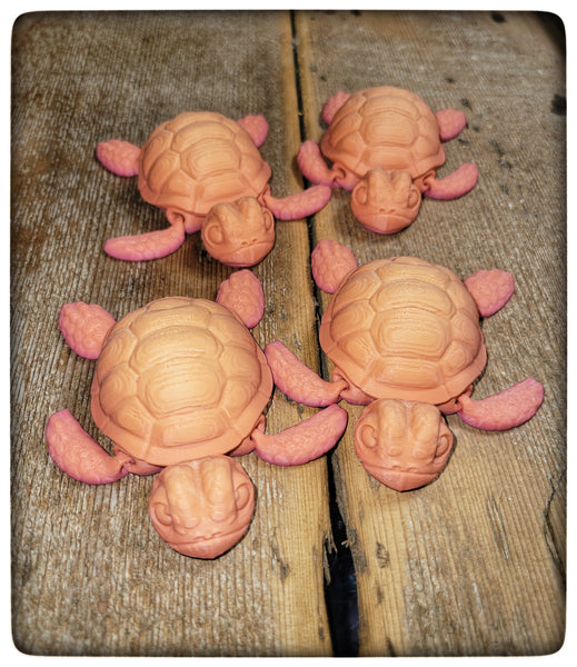 Small Articulated Turtles